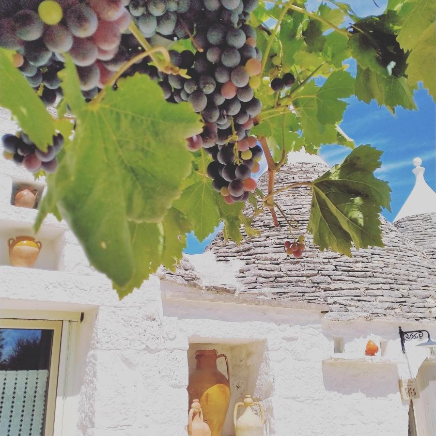 B&B Masseria Nuove Caselle Villa Castelli Exterior foto